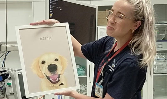 Gifts for Pet Owners