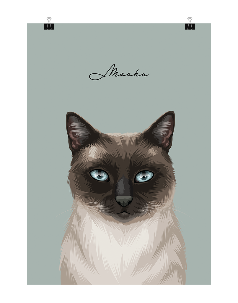 Personalised Siamese cat portrait named Mocha on sage background – unframed custom pet illustration by Oh Barney Australia
