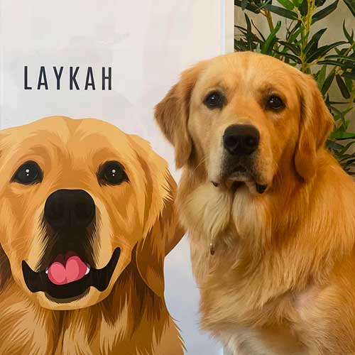 Pet Portrait Review Customer Photo
