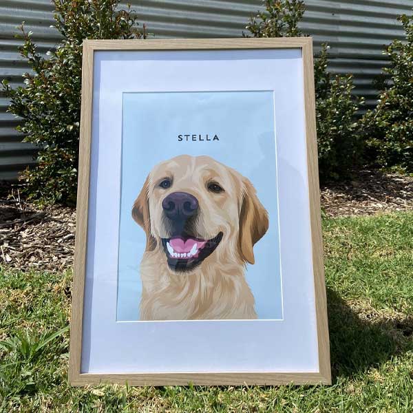 Pet Portrait Review