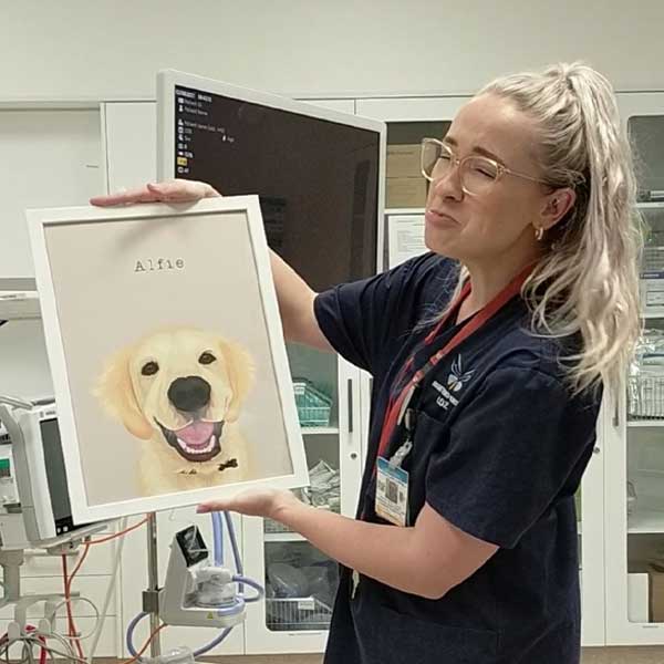 Pet Portrait Review