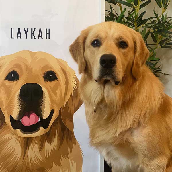Pet Portrait Review