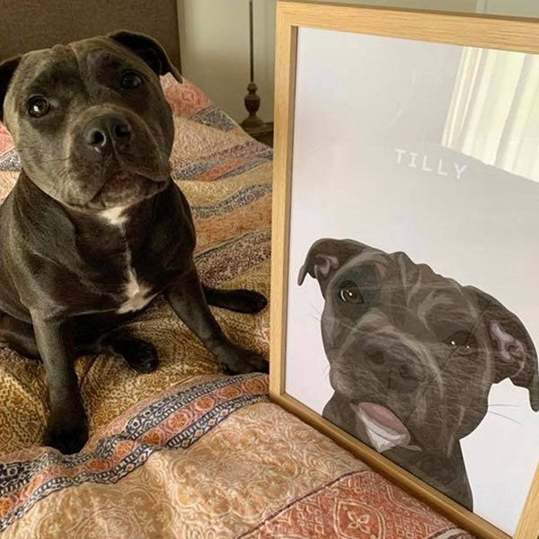 Dog Portrait Australia