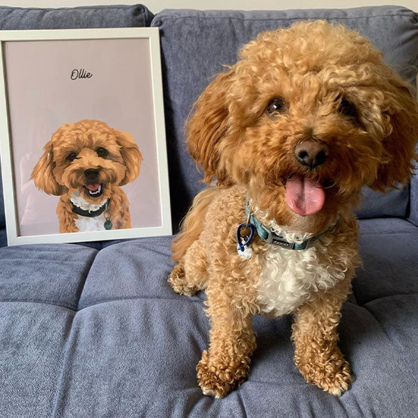 Pet Portrait Australia