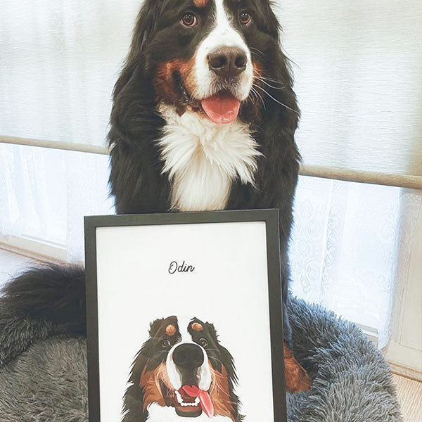Pet Portraits