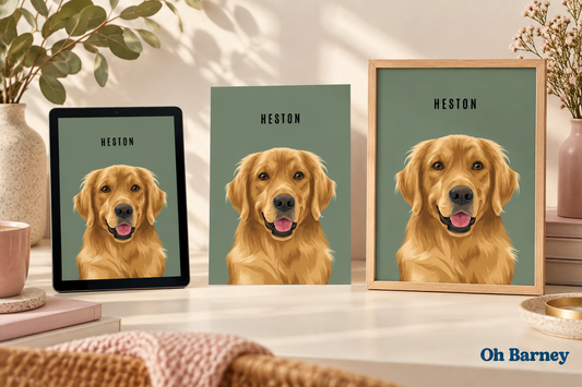 Digital, printed and framed versions of an Oh Barney personalised dog portrait