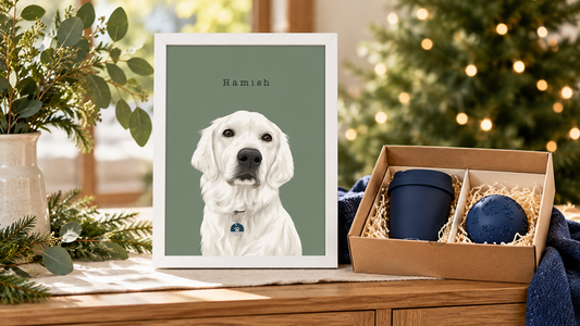 White-framed Hamish pet portrait beside a Christmas gift box containing a reusable cup and dog ball.
