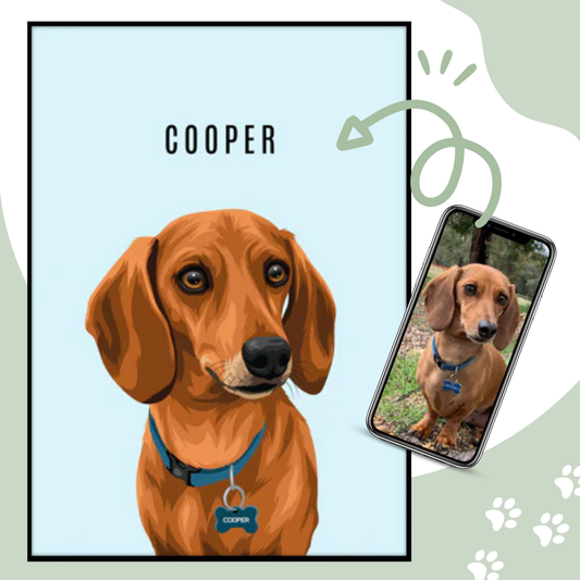 7 Photos That Make a Great Dog Portrait (+ 5 That Don't)