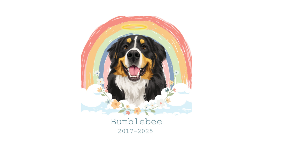 What to Get Someone Who Just Lost a Pet