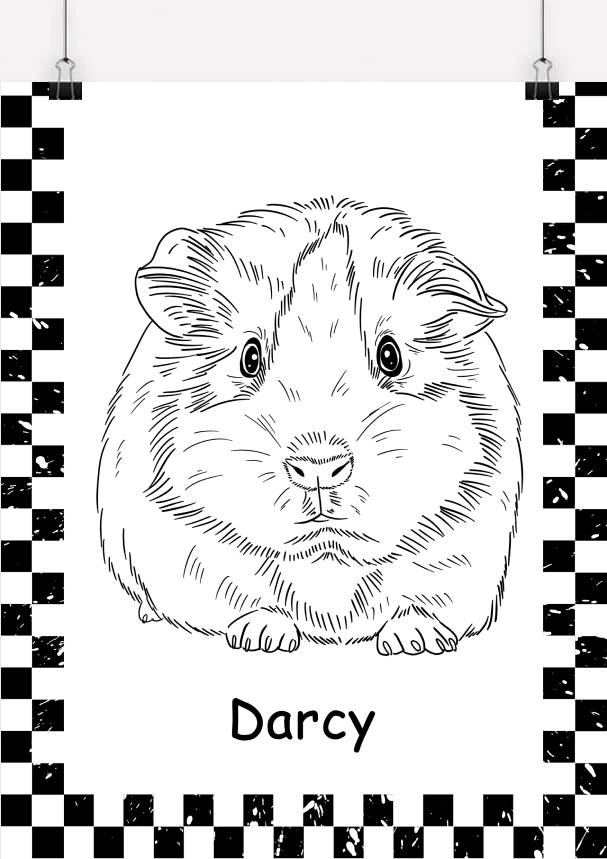 Custom Pet Line Drawing