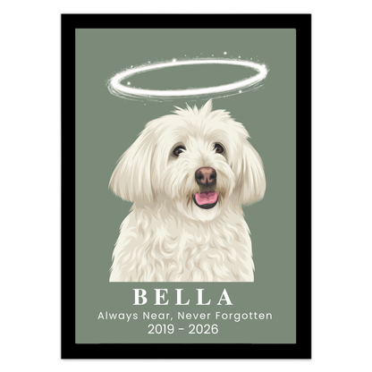 A framed personalized pet memorial print featuring a white fluffy dog portrait with a glowing halo, on a muted sage green background. The text reads 'BELLA Always Near, Never Forgotten 2019 - 2026'.