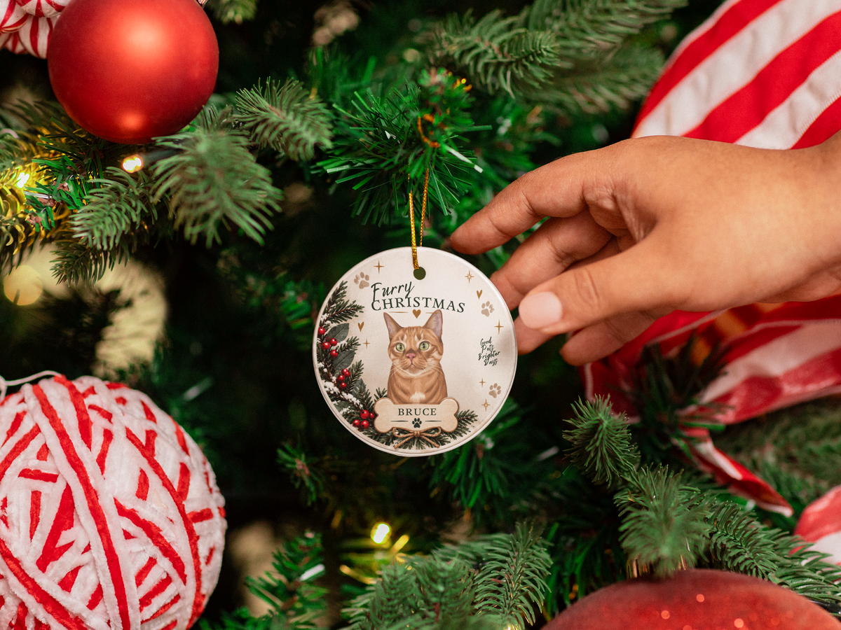 Custom Pet Portrait Ceramic Ornament