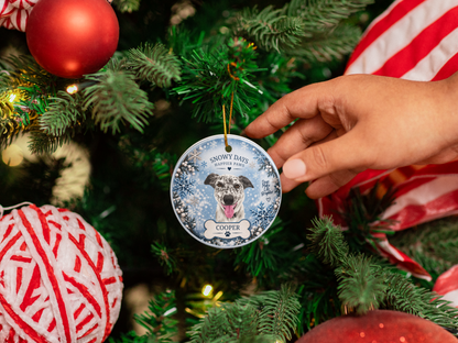 Custom Pet Portrait Ceramic Ornament