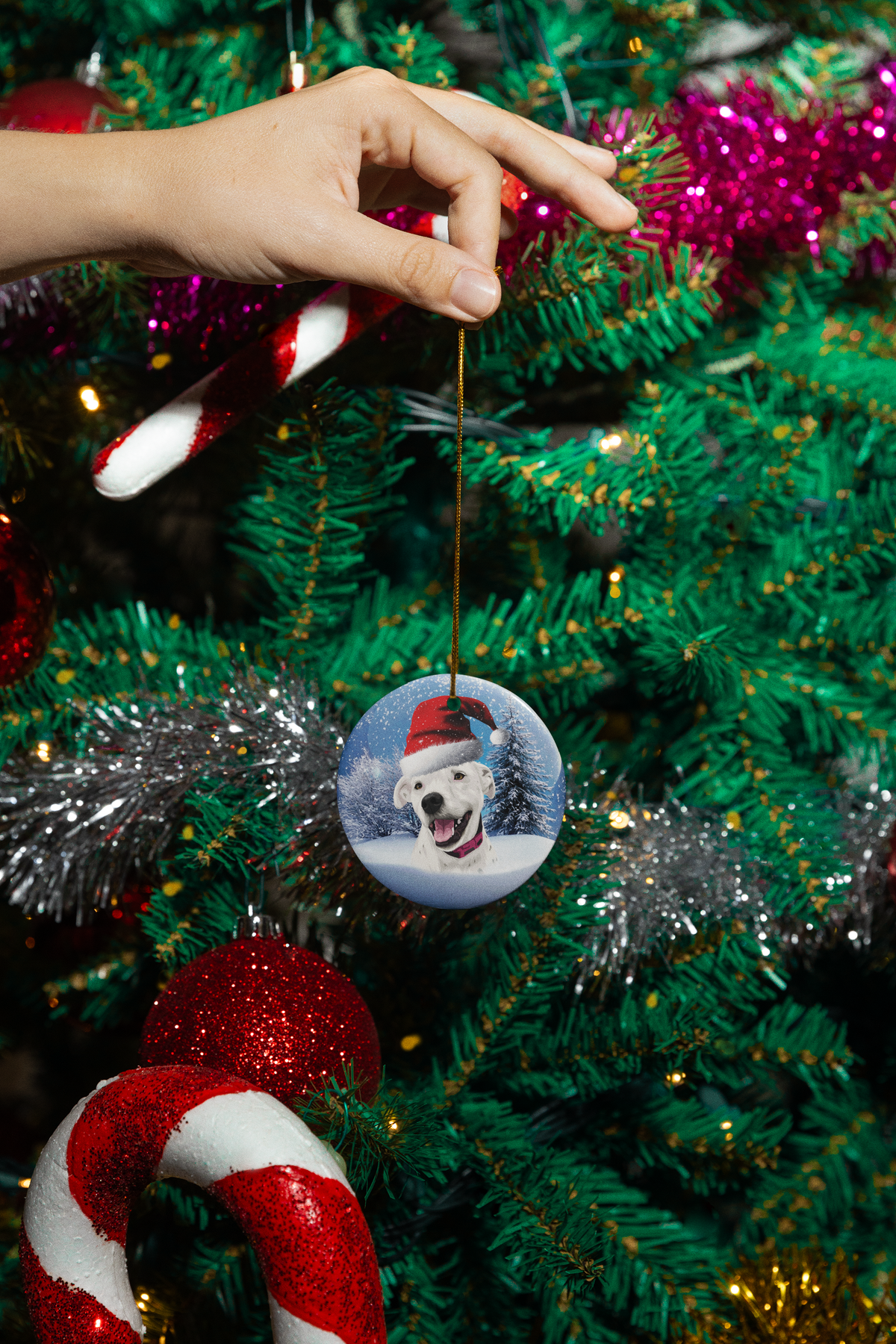 Custom Pet Portrait Ceramic Ornament