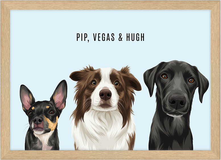 Personalised pet portrait selected as a client gift