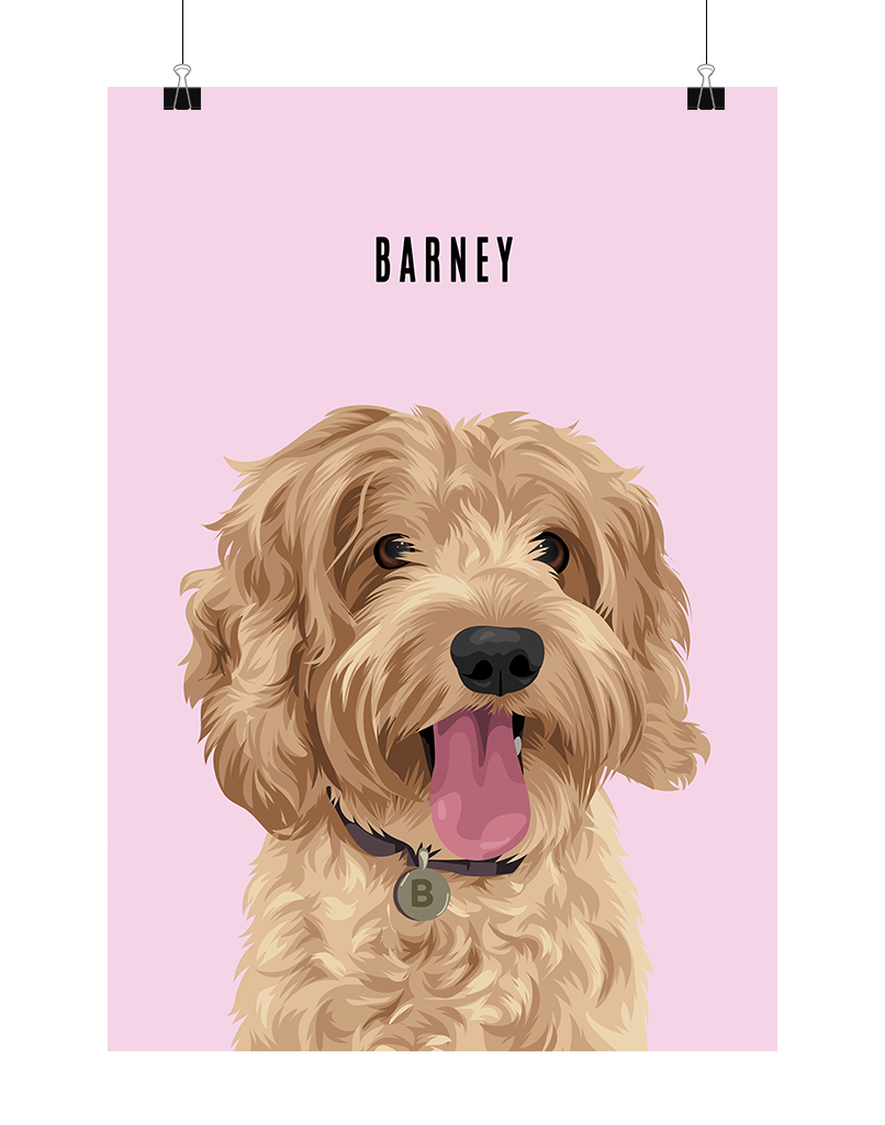 Hand-illustrated golden doodle portrait named Barney on pink background – unframed custom pet art print by Oh Barney Australia