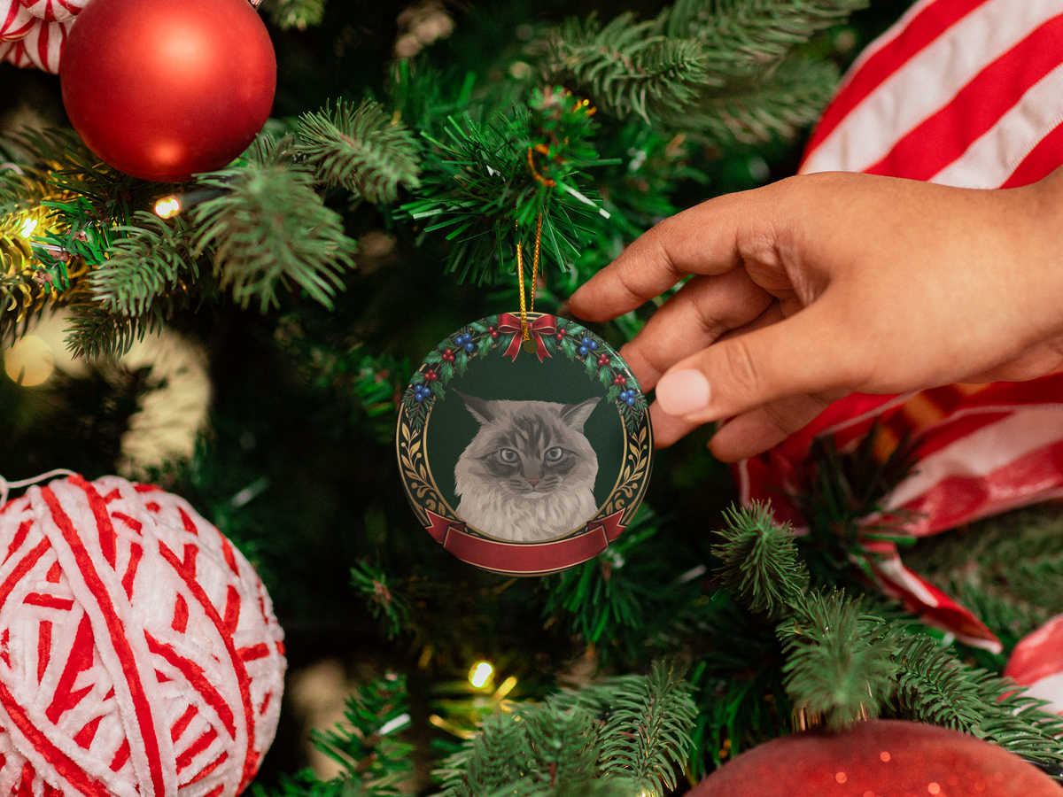 Custom Pet Portrait Ceramic Ornament