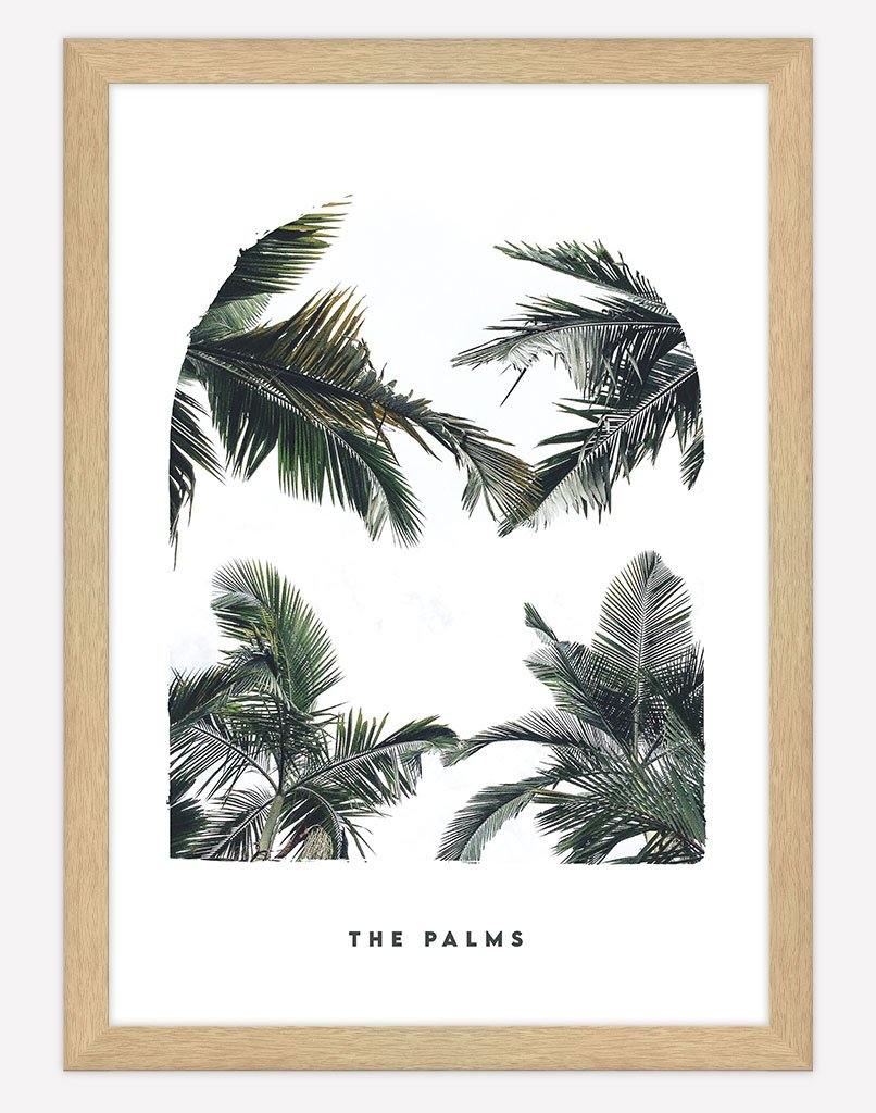 The Palms | Photography - Wall Art - A4 - Timber Frame - White Australia
